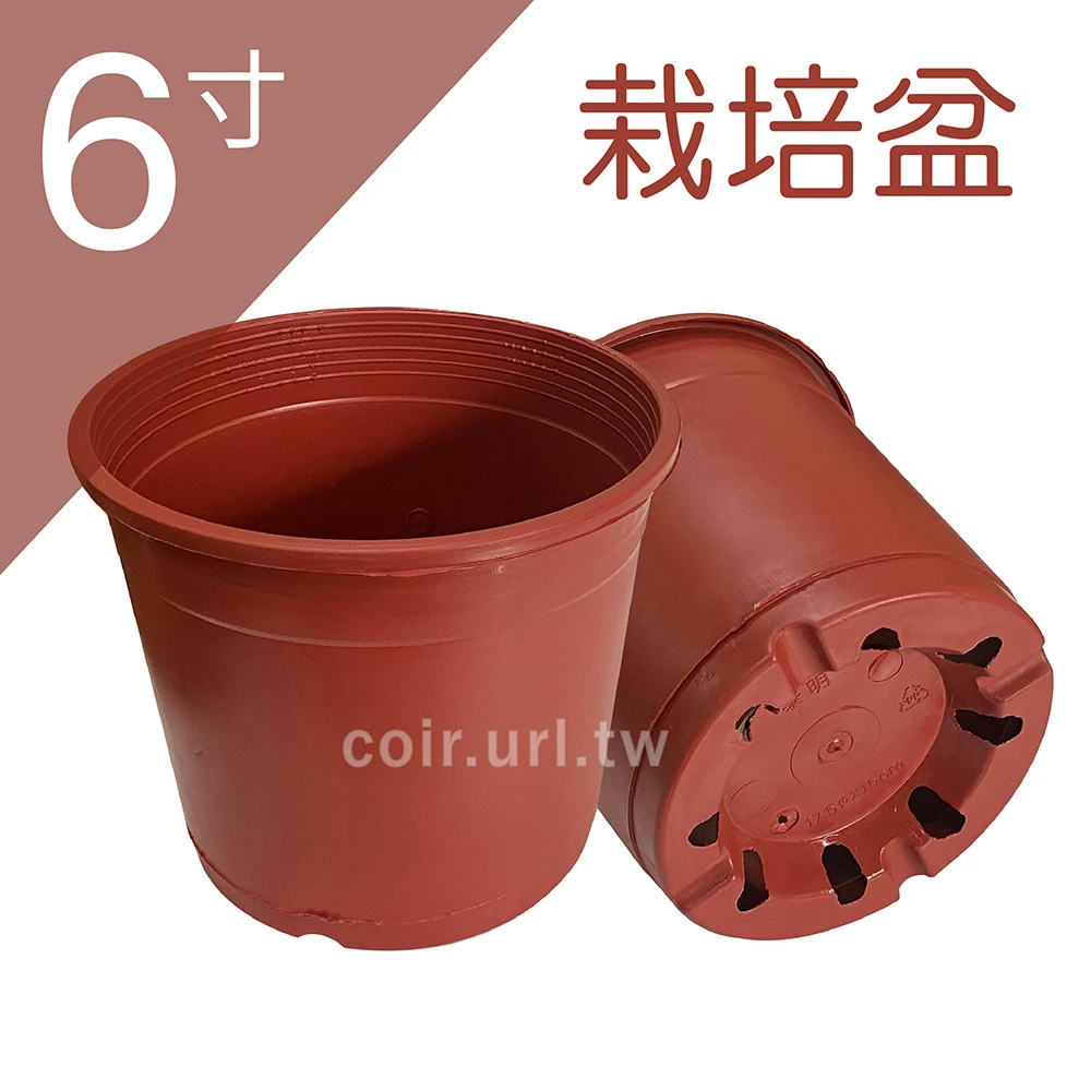 6寸(17.5cm)栽培盆-8孔