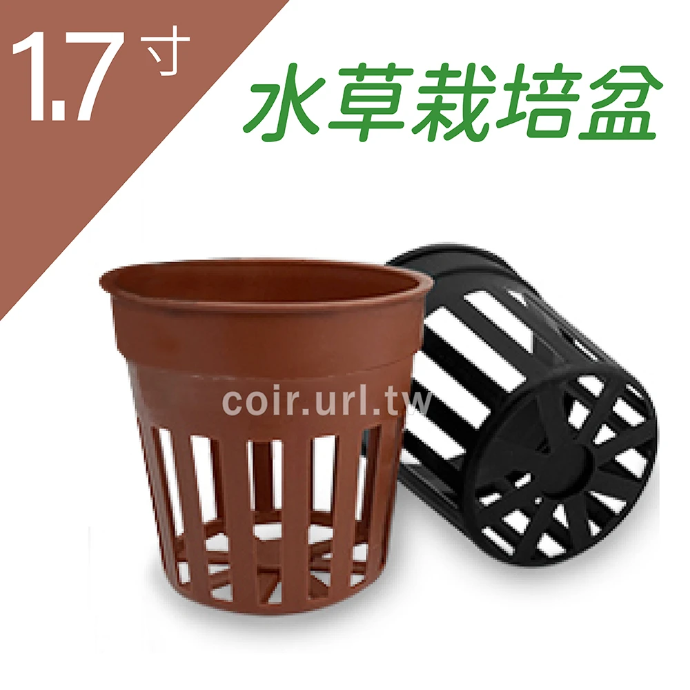 1.7寸(5.2cm)水草栽培盆(泰明)