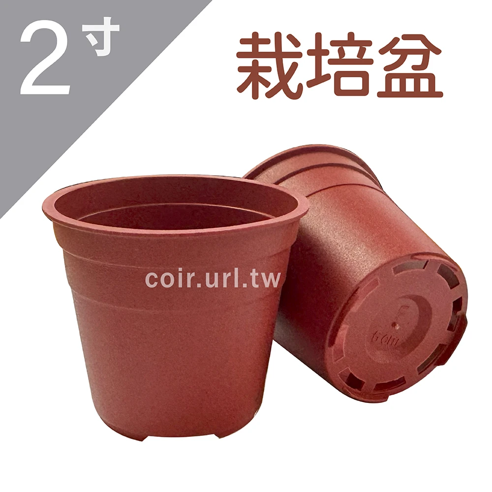 2寸(6cm)栽培盆(磚紅)