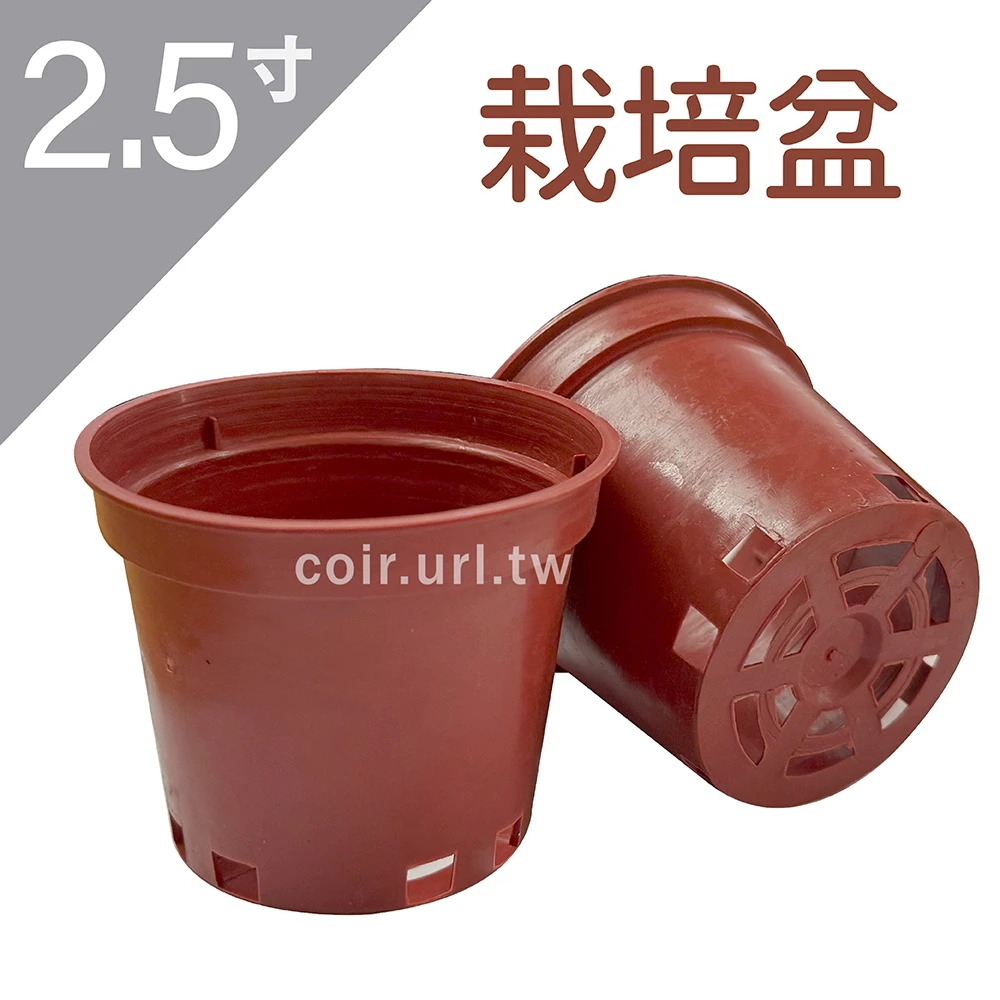 2.5寸(7.5cm)栽培盆