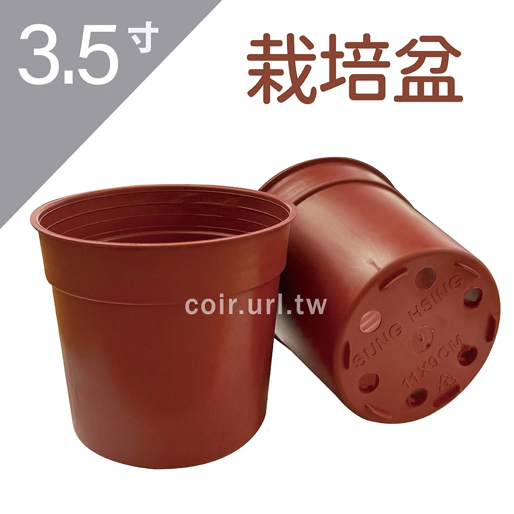 3.5寸(10.5cm)栽培盆
