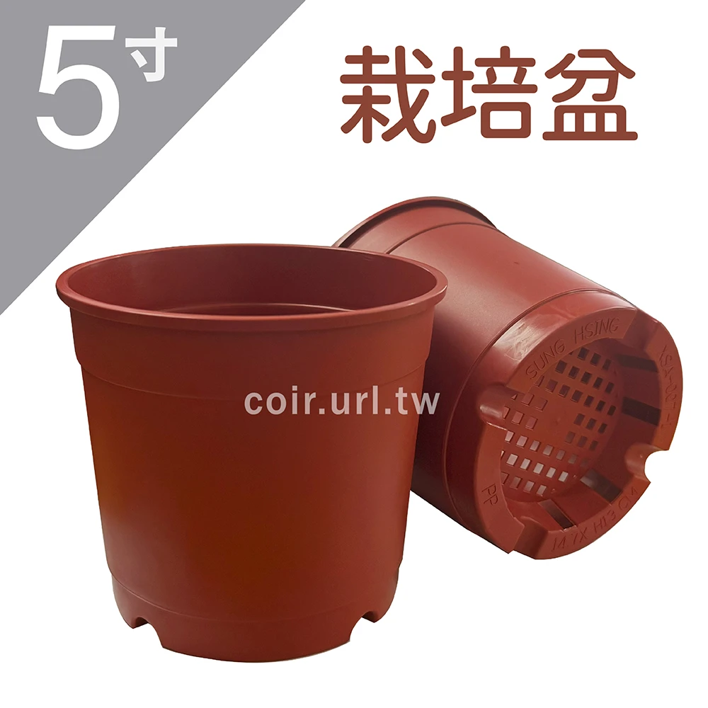 5寸(14.7cm)栽培盆