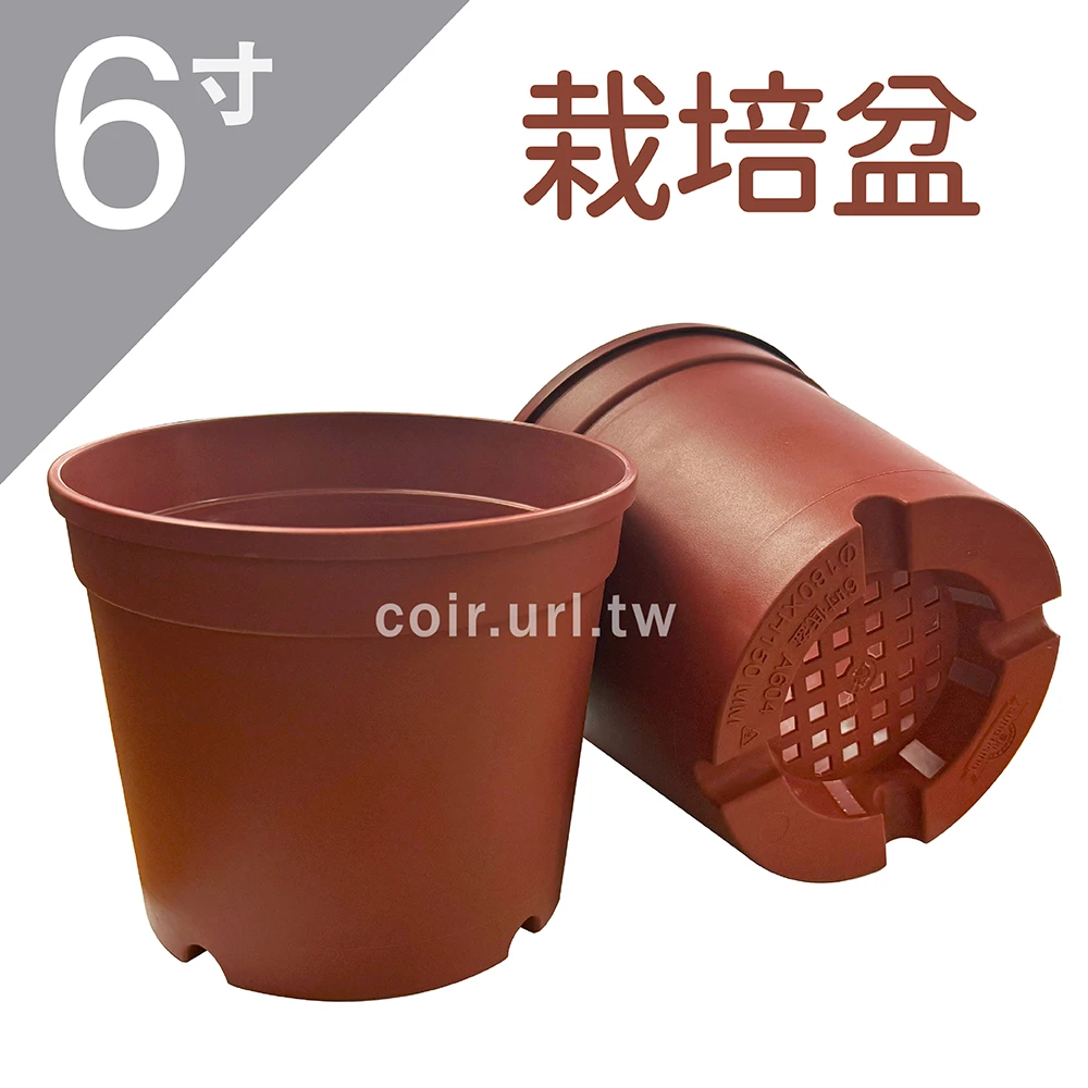 6寸(18cm)栽培盆