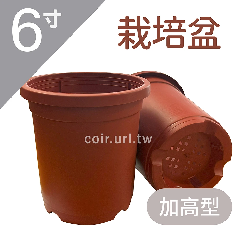 6寸(18cm)栽培盆-加高型18.5cm