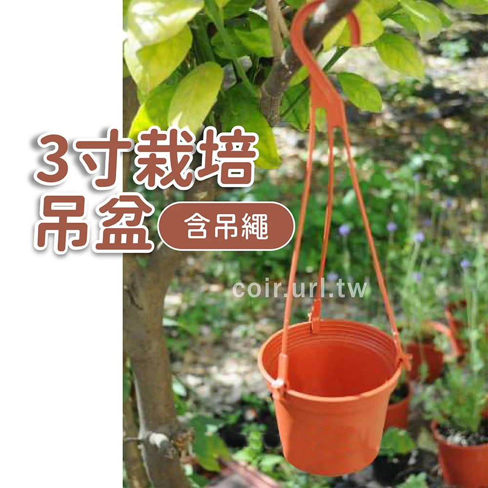 3寸栽培吊盆(含吊繩)