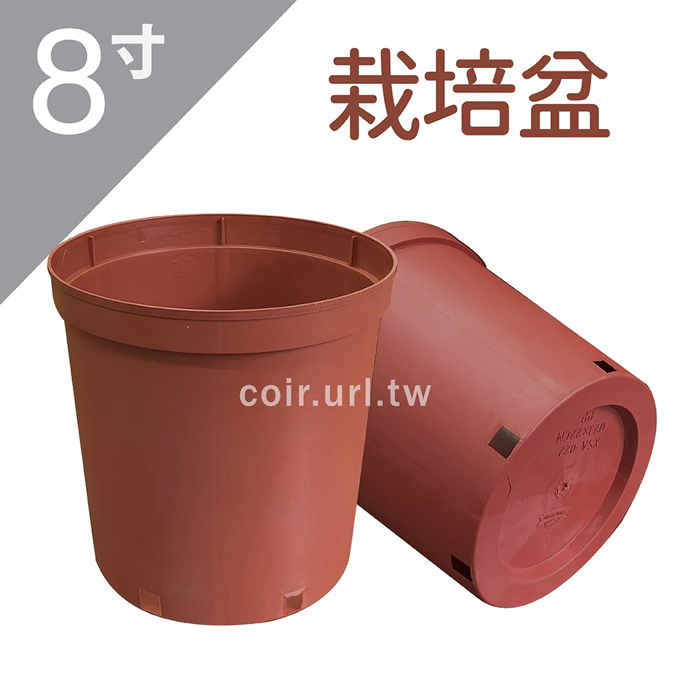 8寸(23cm)栽培盆