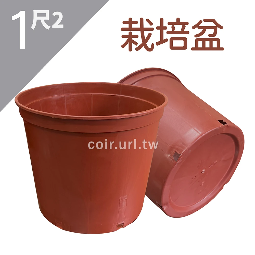1尺2(37cm)栽培盆