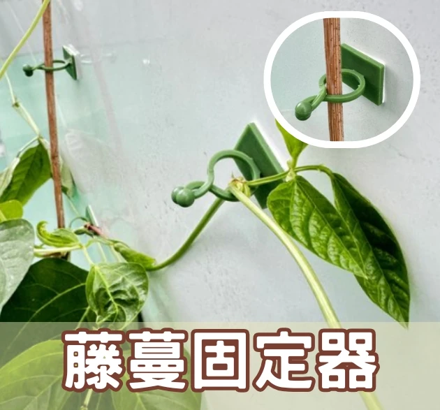 藤蔓固定器-附壁貼 10入/包 牆面固定夾 電線固定器