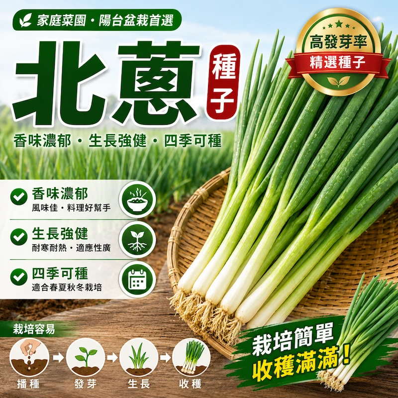 農友北蔥種子(Bunching Onion)