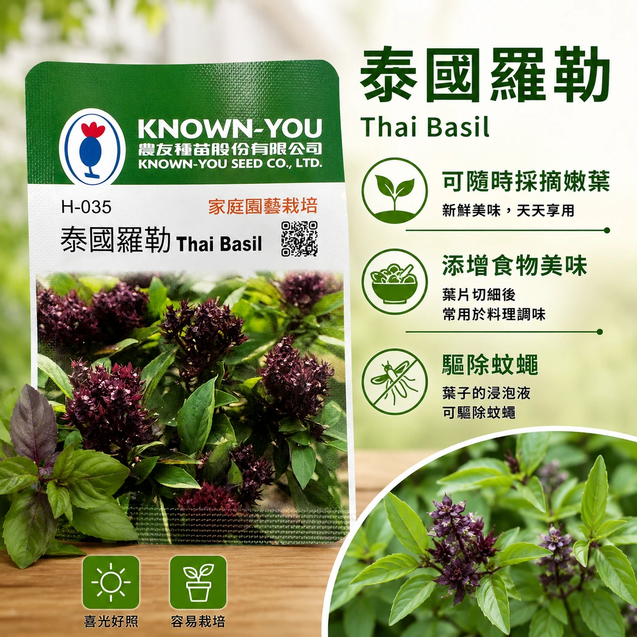 暹羅羅勒（泰國羅勒種子）~Thai Basil 泰國九層塔