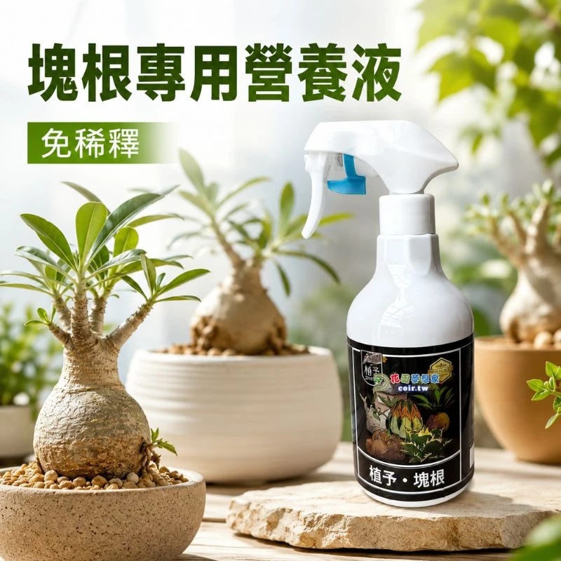 植予塊根專用 免稀釋營養液 龍舌蘭惠比須笑