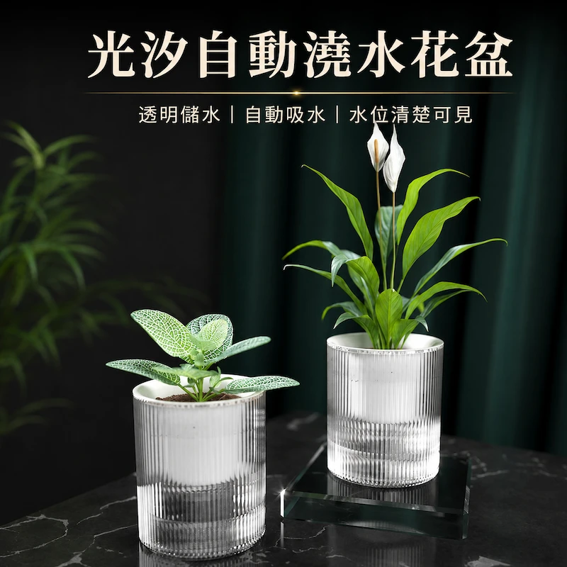 光汐自動澆水花盆 套盆(附棉繩)