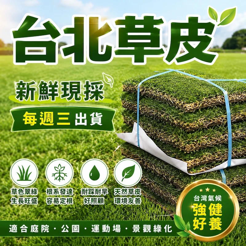 ☆現採 台北草草皮~半坪（每週四出貨）