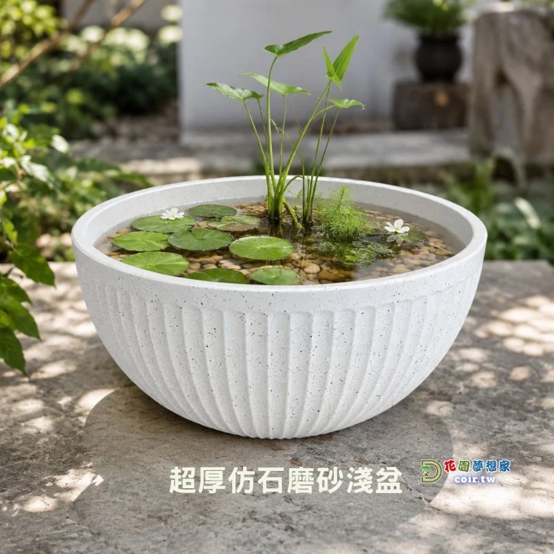 1尺(30cm)超厚仿石磨砂淺盆 無洞水生植物盆