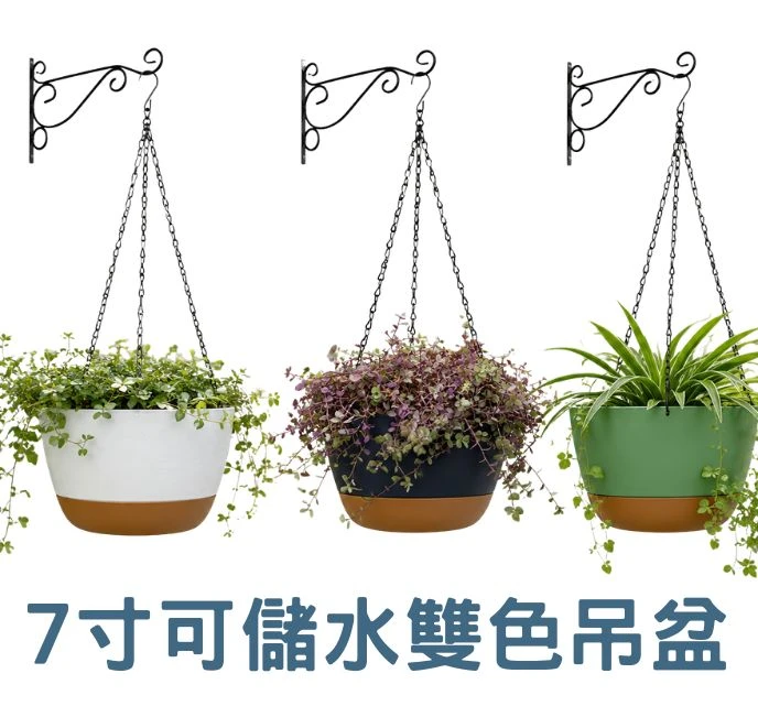 7寸可儲水雙色吊盆|可分離水盤|吊鍊掛勾