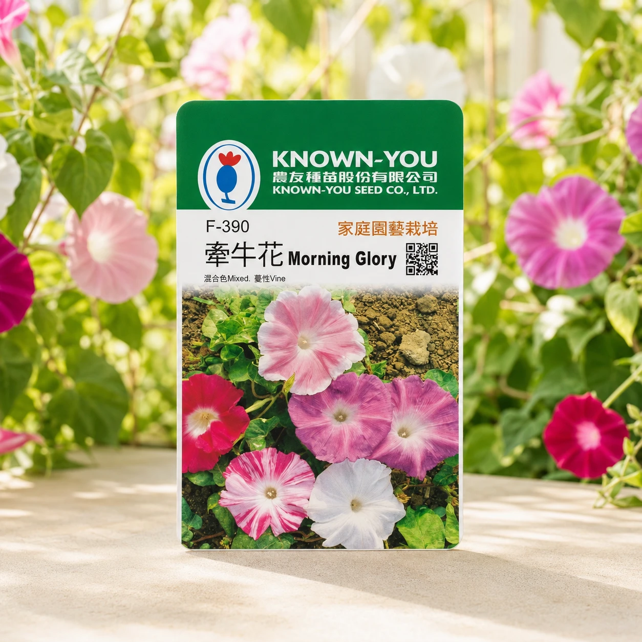 牽牛花~混合色