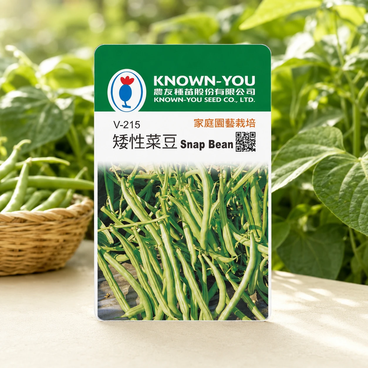 矮性菜豆(四季豆)種子Snap Bean