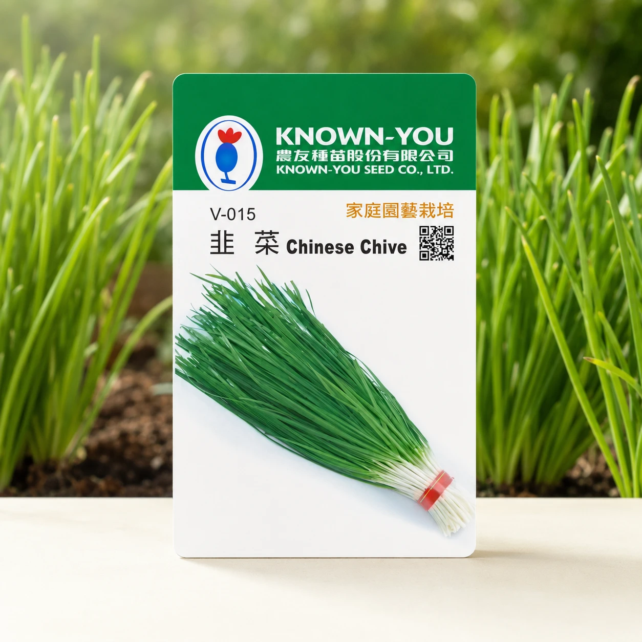葉用韭菜~Chinese Chive~種子