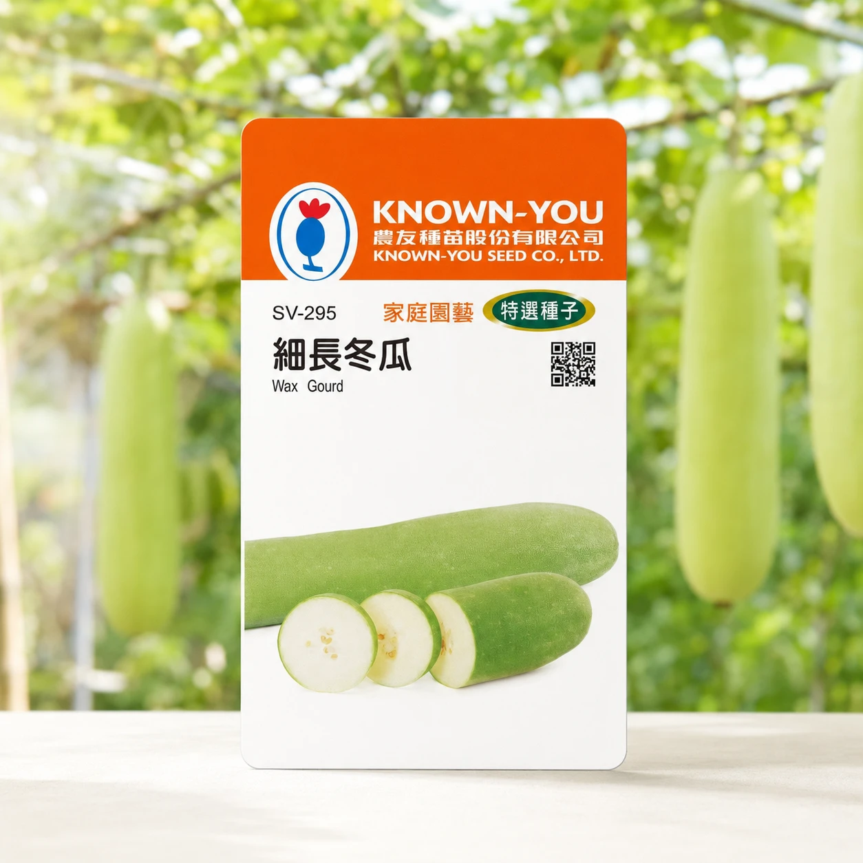 細長冬瓜種子 Wax Gourd