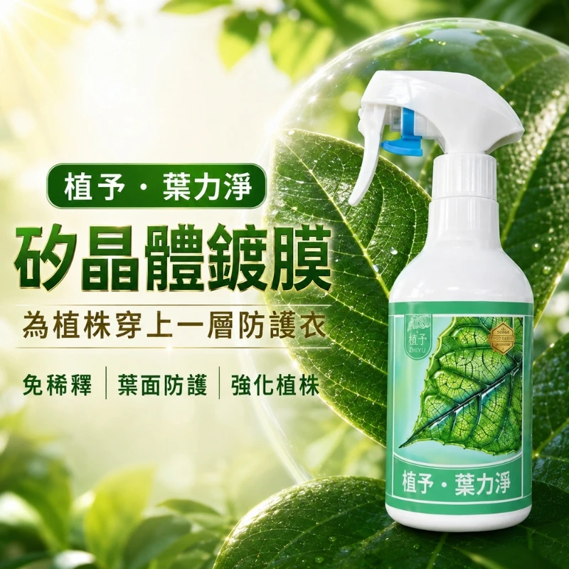 【植予 • 葉力淨】矽晶體鍍膜｜為植株穿上一層防護衣