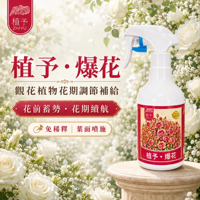 【植予・爆花】觀花植物葉面養護噴霧 500ml｜開花前、含苞期免稀釋補給