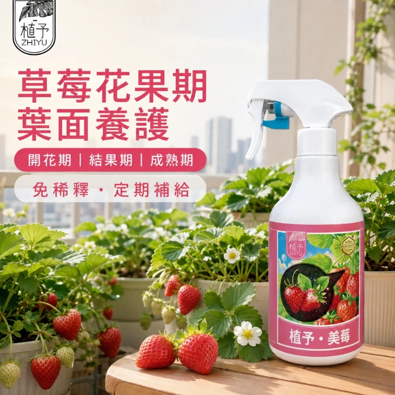 【植予・美莓】草莓開花結果免稀釋噴霧 瓜果藍莓適用-500ml