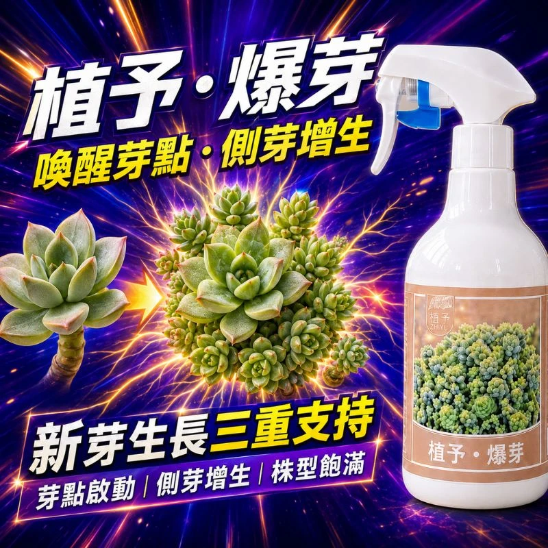 【植予・爆芽】芽點生長調節噴霧｜多肉側芽・葉插・換盆停滯適用 500ml