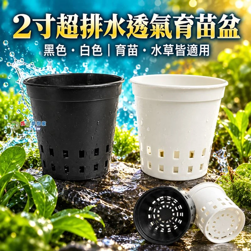 2寸超排水透氣育苗盆｜鹿角蕨苗・多肉植物・水草盆 黑白兩色
