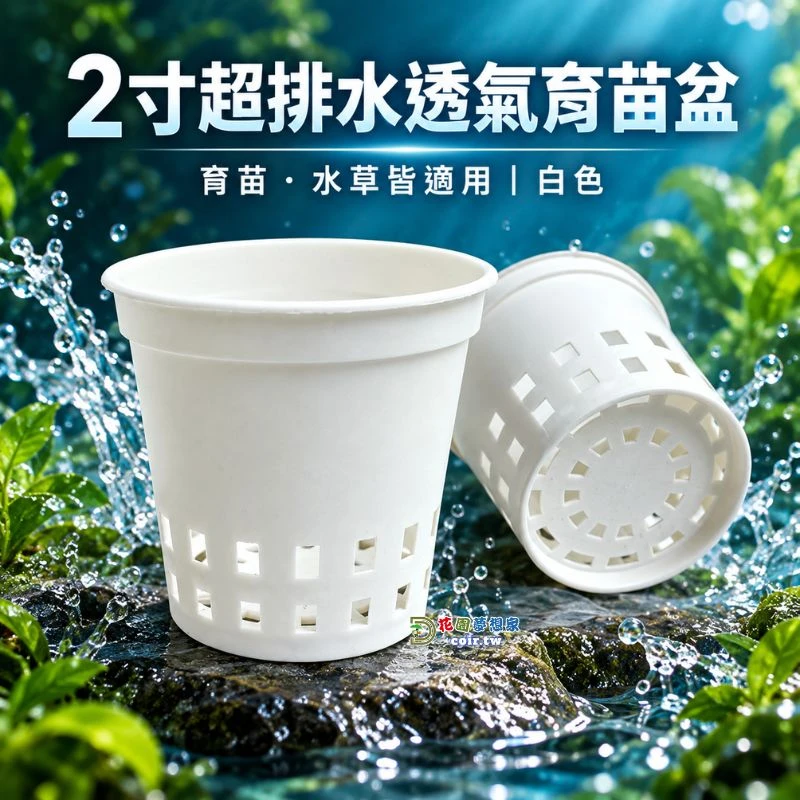 2寸超排水透氣育苗盆｜鹿角蕨苗・多肉植物・水草盆 黑白兩色