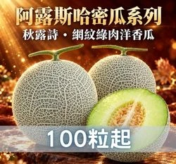 阿露斯洋香瓜「秋露詩」甜瓜種子 網紋綠肉哈密瓜