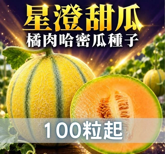 星澄甜瓜 柑仔糖洋香瓜 哈密瓜 種子