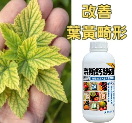 奈斯鈣鎂硼Plus (最好吸收的微量元素肥料、黃腐酸螯合劑)