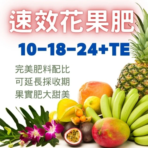 速效花果肥 (即溶肥10-18-24)適開花期至果實肥大