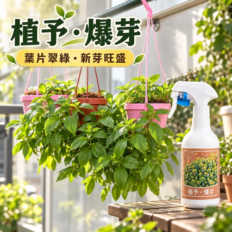 【植予・爆芽】芽點生長調節噴霧｜多肉側芽・葉插・換盆停滯適用 500ml