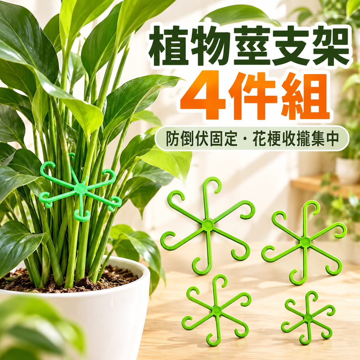 植物莖支架 4件組 花梗支架 觀葉植物防倒伏固定器 盆栽收攏器 集中器