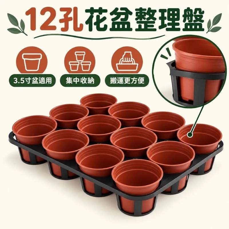 12孔端盤(適用3.5寸盆)