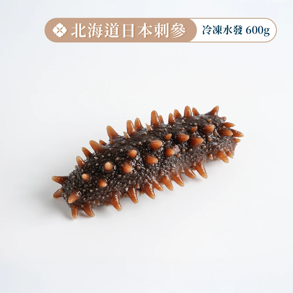 北海道日本刺參【水發冷凍品】