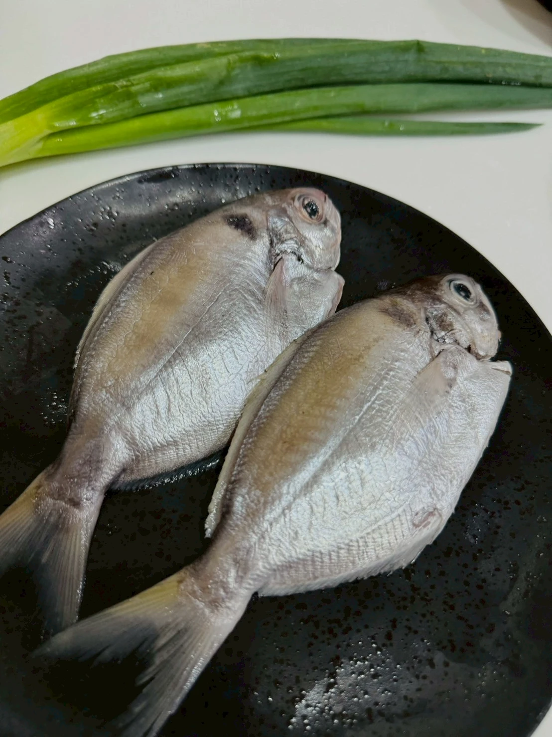 澎湖野生肉魚