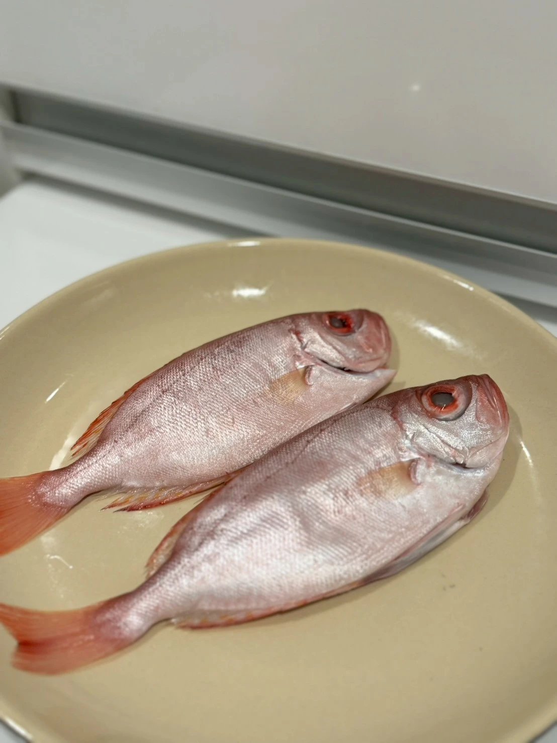 野生紅目鰱