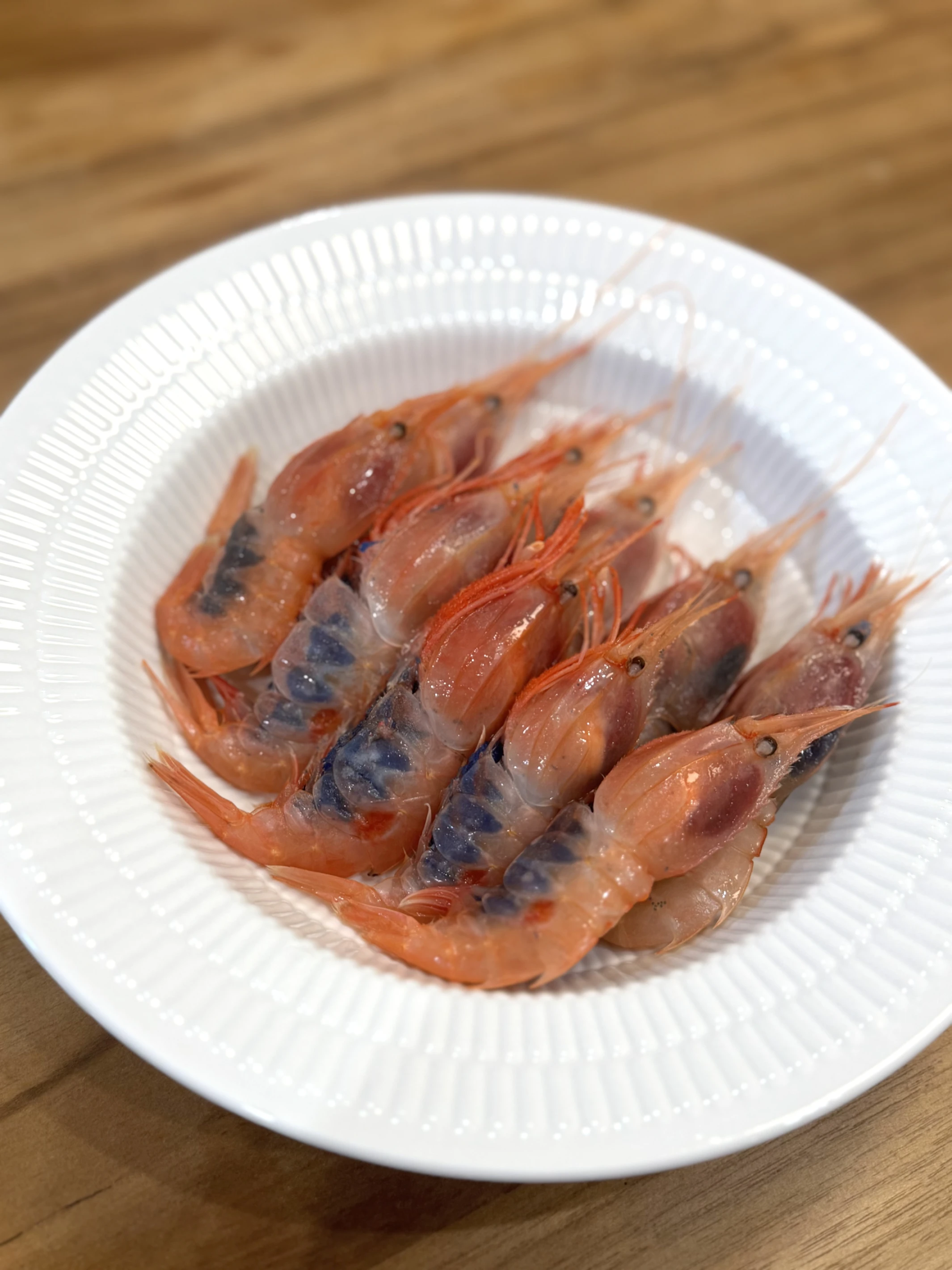 生食級蝦母