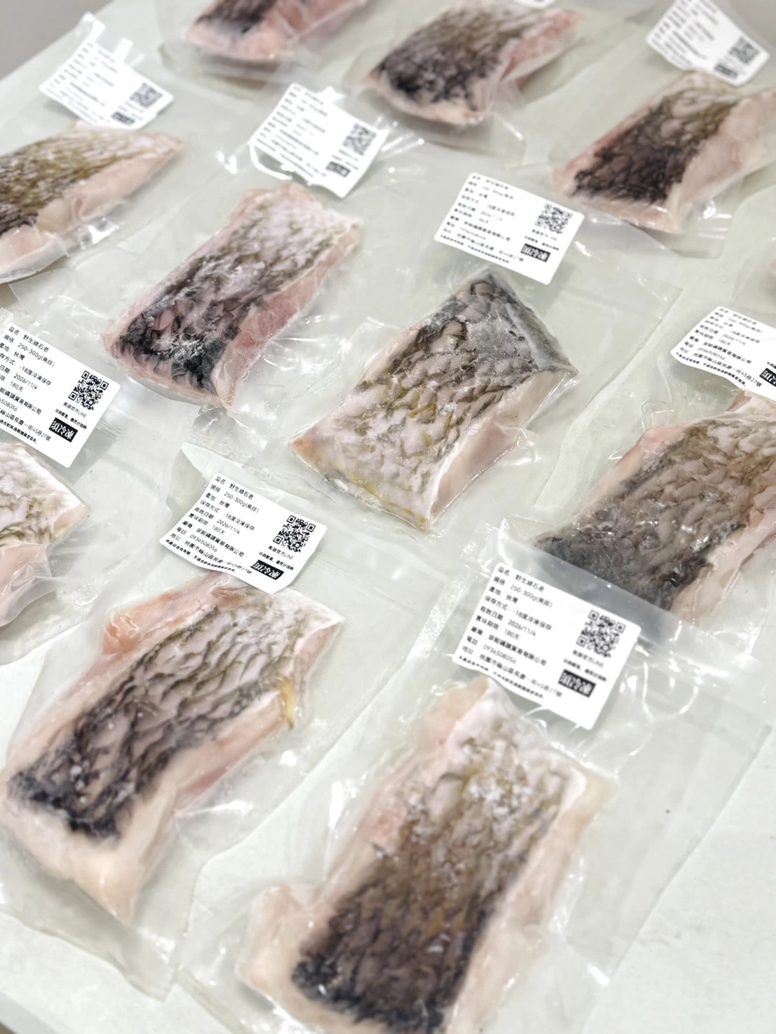 澎湖野生綠石老