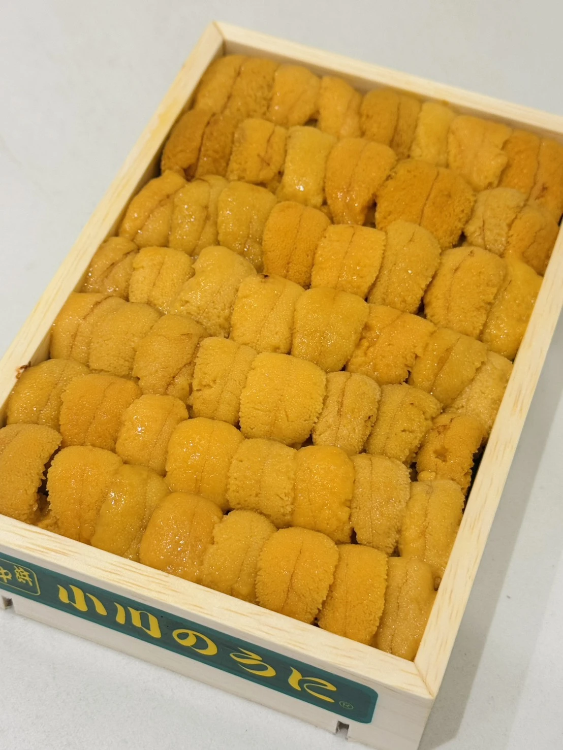 白上海膽 240g (排列款）