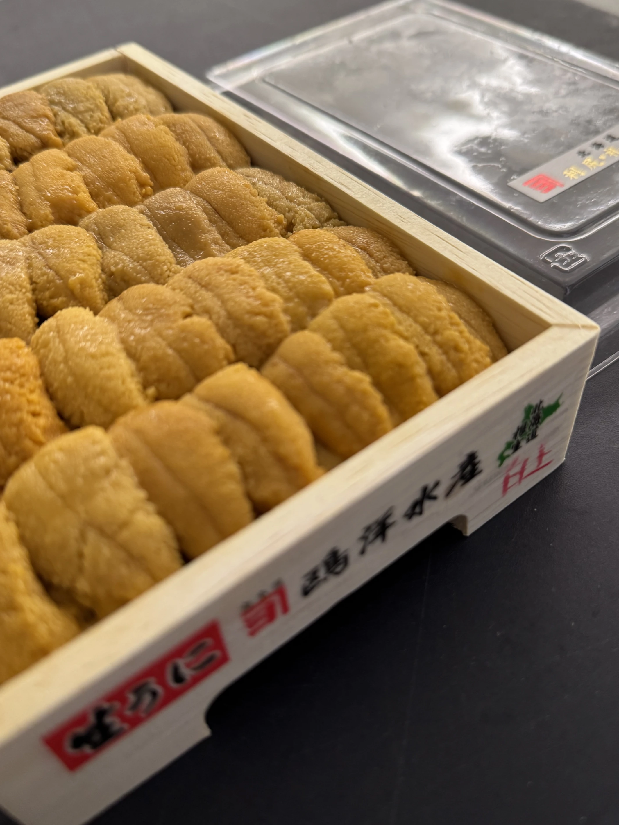 白上海膽 240g (排列款）