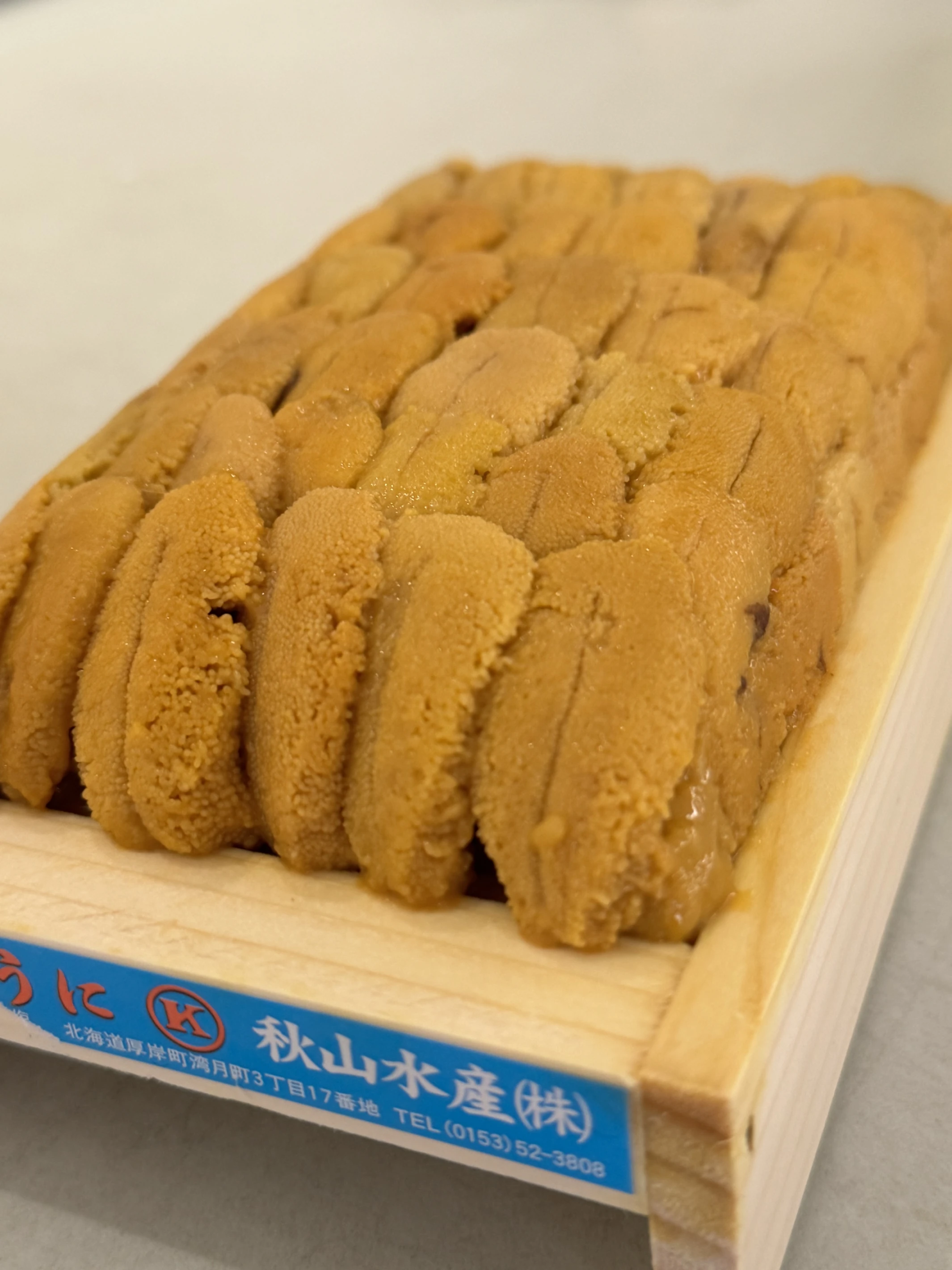 特上白海膽300g (排列款)