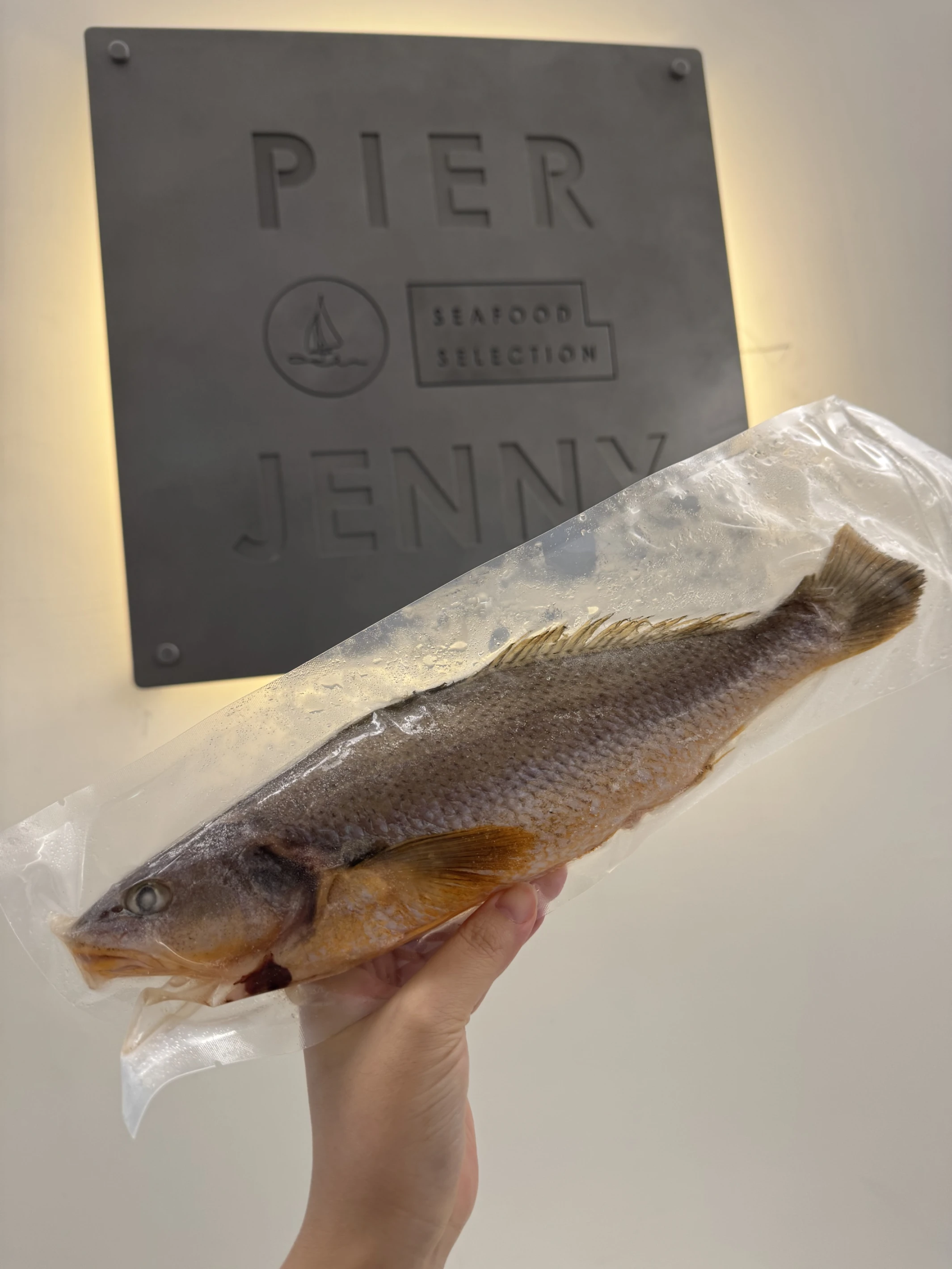 頂級野生三牙魚