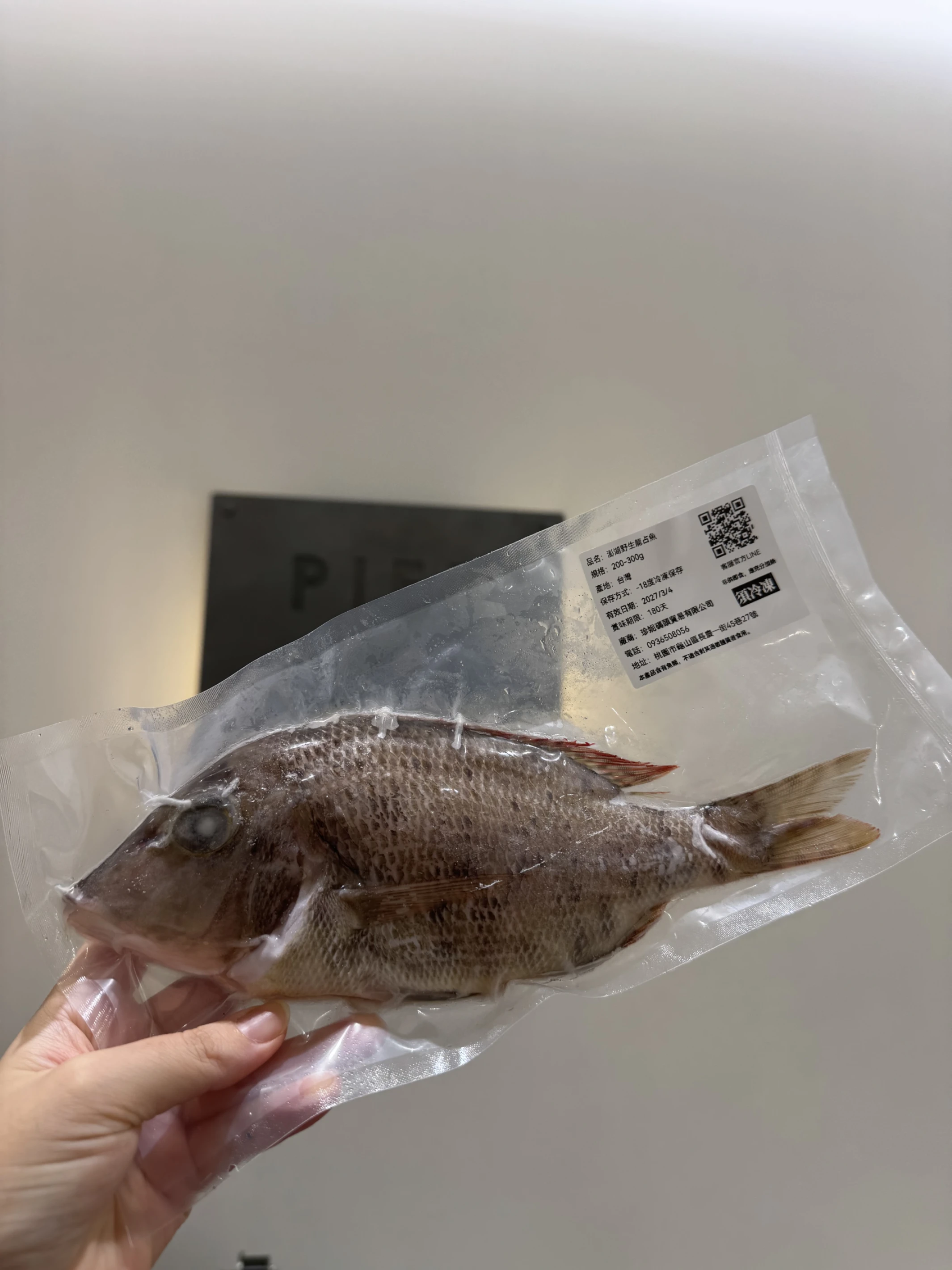 澎湖野生龍占