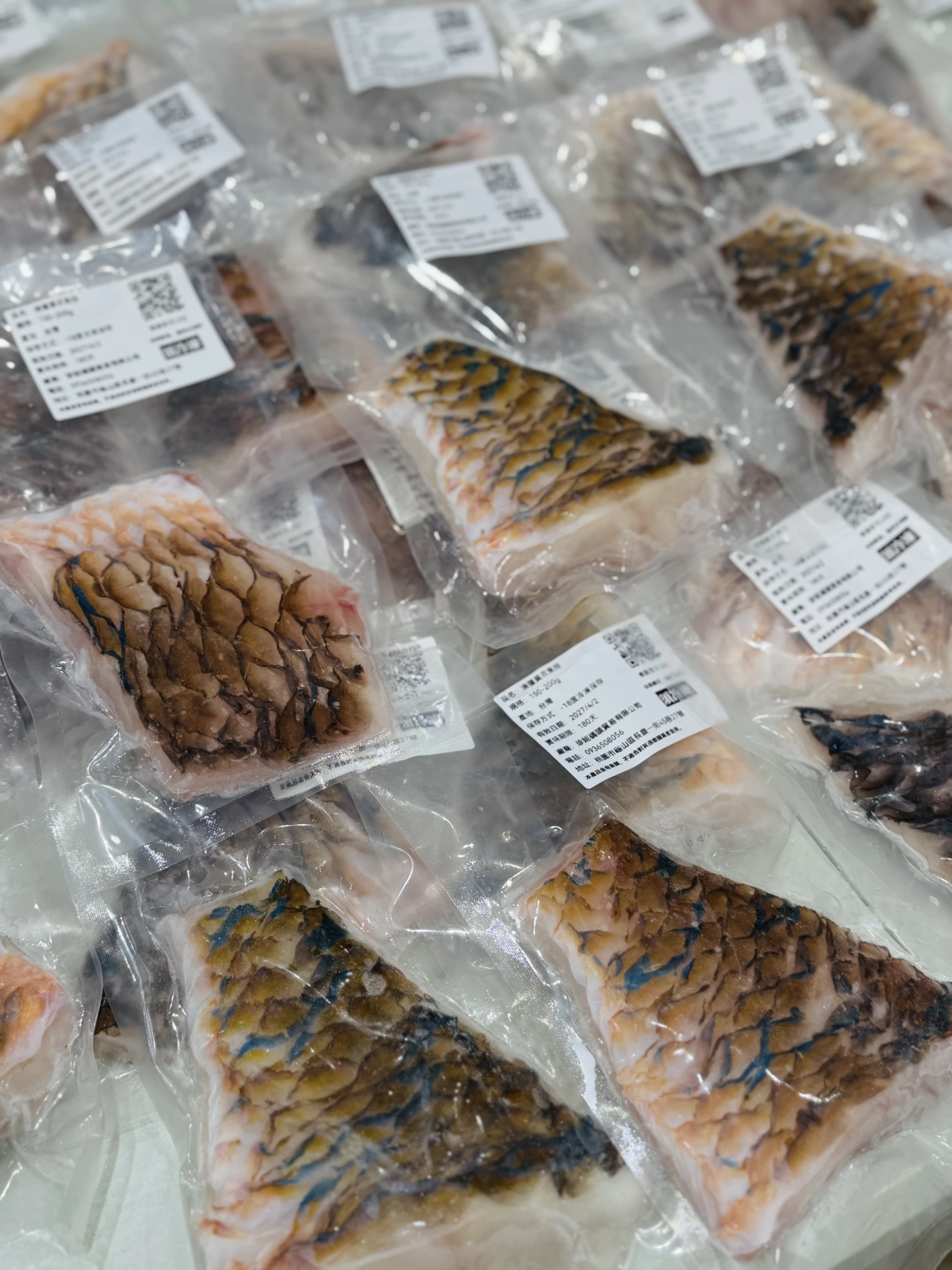 漁獵黃衣魚排