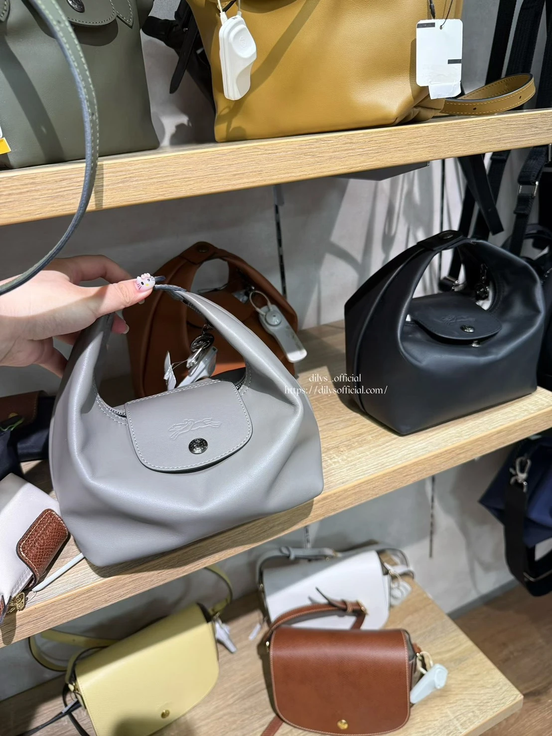 Longchamp Le Pliage Xtra飯盒包