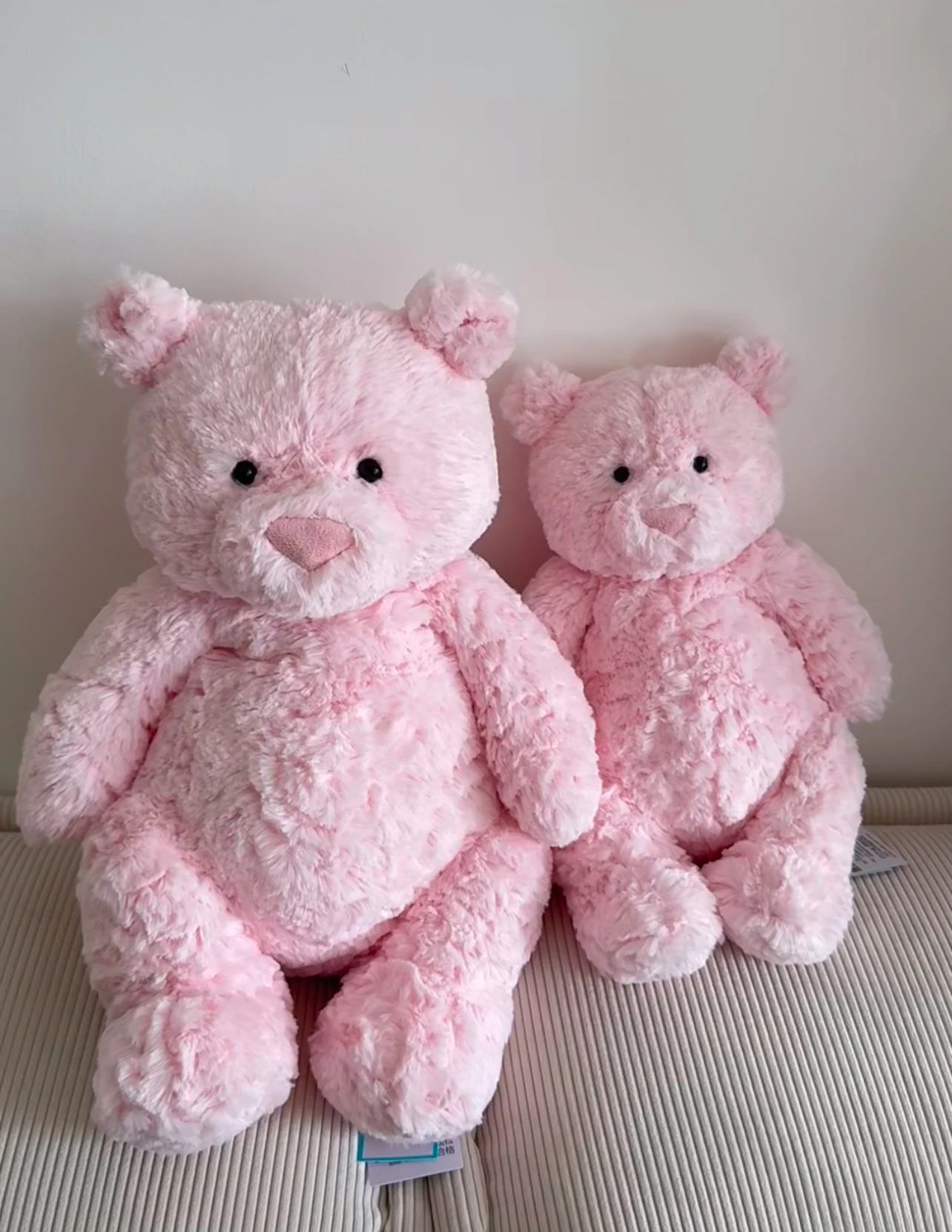 現貨｜Jellycat Leola Bear 萊奧拉熊Large 36cm