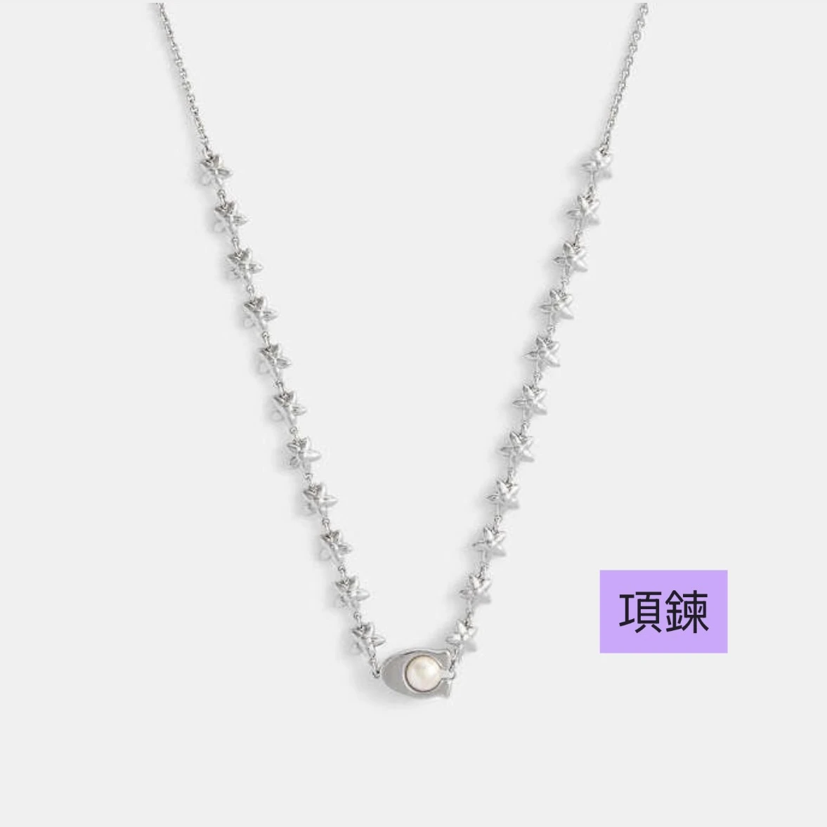 Coach 野花鏈系列 飾品